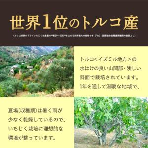 ドライフルーツ いちじく ドライいちじく 送料...の詳細画像5