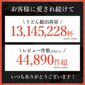 讃岐うどん 太さ選べる 合計8人前 送料無料 ...の詳細画像3