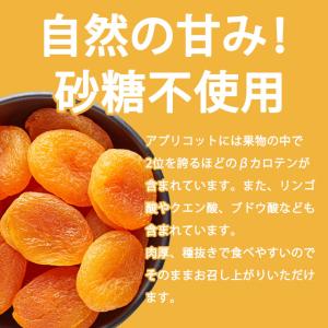 ドライフルーツ ドライアプリコット 砂糖不使用...の詳細画像3