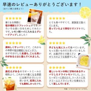 紅塩ドライレモン170g ドライフルーツ 訳あ...の詳細画像4
