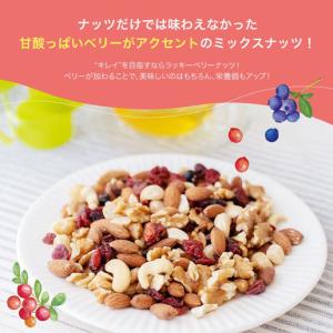 ミックスナッツ ラッキーベリーナッツ 250g...の詳細画像3