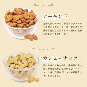 ミックスナッツ クランベリーとりんご入りミック...の詳細画像2