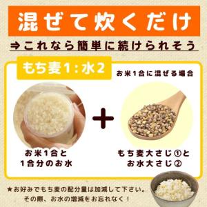 もち麦 国産もち麦 450g ダイシモチ βグ...の詳細画像5
