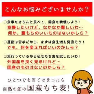もち麦 国産 900g ダイシモチ βグルカン...の詳細画像2