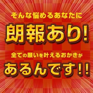 おつまみ 和菓子 訳あり 選べるおかき メガ盛...の詳細画像3