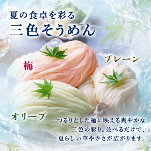 そうめん 讃岐 生そうめん 純生 8人前 選べ...の詳細画像4