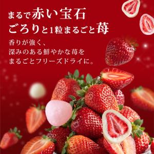 チョコ チョコレート まるごと苺チョコレート ...の詳細画像1
