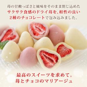 チョコ チョコレート まるごと苺チョコレート ...の詳細画像2