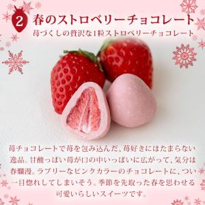 チョコ チョコレート まるごと苺チョコレート ...の詳細画像3