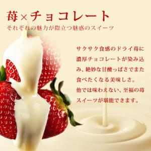 チョコ チョコレート まるごと苺チョコレート ...の詳細画像4