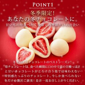 チョコ チョコレート まるごと苺チョコレート ...の詳細画像5
