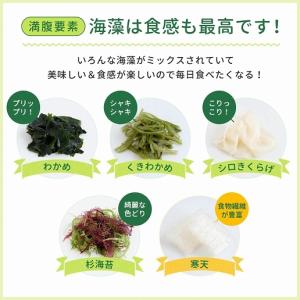 福袋 海藻サラダ まとめ買い 味噌汁の具 寒天...の詳細画像4