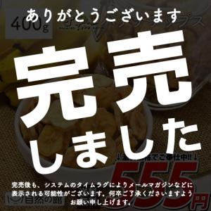 完売 バナナチップス 甘熟王 400g フィリピン産 送料無料 ココナッツオイル使用 訳あり 簡易梱包 非常食 ミネラル