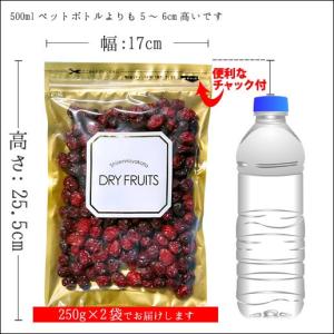 ドライクランベリー 500g(250g×2) ...の詳細画像1