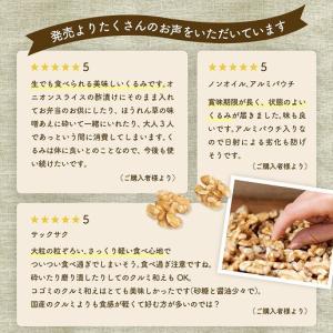 ナッツ くるみ 無添加 生くるみ 350g ク...の詳細画像5