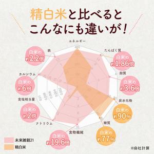 米 雑穀 雑穀米 国産 送料無料 未来雑穀21...の詳細画像4