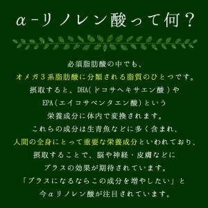 えごまパウダー 120g スーパーフード 健康...の詳細画像3
