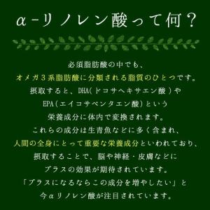 えごまパウダー 240g 120g×2袋 スー...の詳細画像2