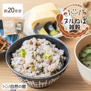 雑穀 送料無料 ヌルねば雑穀の具+未来雑穀21 20合分 わかめごはん 炊き込みご飯 カレー おにぎり お茶漬け チャーハン ネバ活  爆買