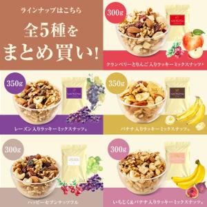 ミックスナッツ ドライフルーツ入りラッキーミックスナッツ まとめ買い 5種セット ナッツ  爆買