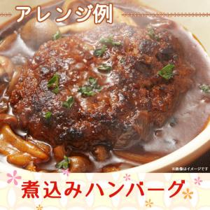 おからおからパウダー 440g(220g×2)...の詳細画像5