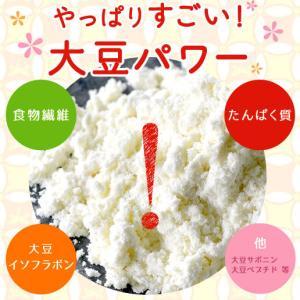 規格変更 おからパウダー ドライおから 220...の詳細画像1