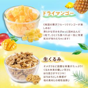 ミックスナッツ パインとマンゴー入りミックスナ...の詳細画像4
