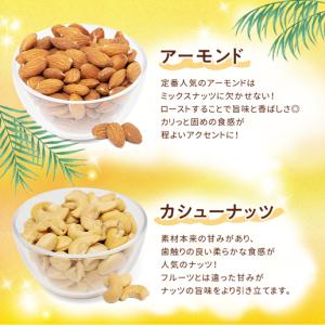 ミックスナッツ パインとマンゴー入りミックスナ...の詳細画像5