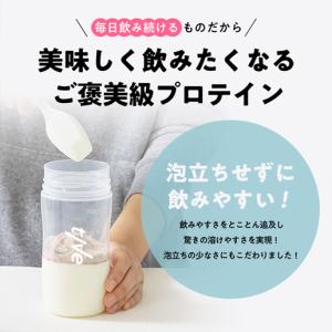 プロテイン 人工甘味料不使用 ソイプロテイン ...の詳細画像5