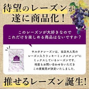 おつまみ サルタナレーズン 700g 砂糖不使...の詳細画像2
