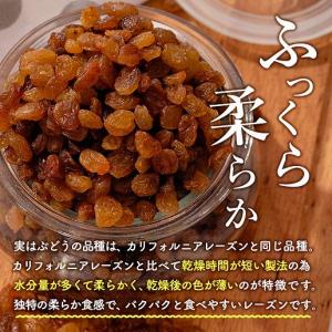 おつまみ サルタナレーズン 700g 砂糖不使...の詳細画像3