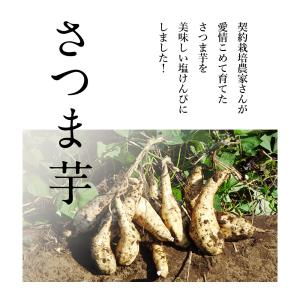 お試し 芋けんぴ 芋屋の細切り塩けんぴ 270...の詳細画像3