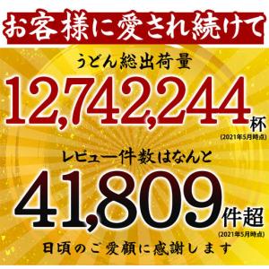 1000円ポッキリ うどん 讃岐うどん 選べる...の詳細画像2