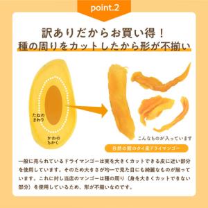 ドライフルーツ タイ産マンゴー 500g ドラ...の詳細画像3