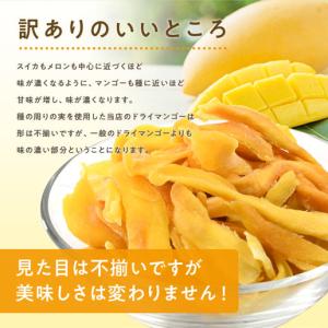 ドライフルーツ タイ産マンゴー 500g ドラ...の詳細画像4