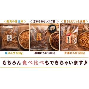 おつまみ 国産 芋けんぴ 送料無料 塩けんぴ ...の詳細画像2