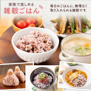 米 雑穀 雑穀米 国産 未来雑穀 21+マンナ...の詳細画像4