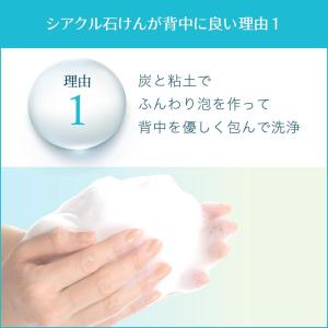 背中ニキビ ボディソープ 背中ニキビ 石鹸 背...の詳細画像2