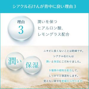 背中ニキビ ボディソープ 背中ニキビ 石鹸 背...の詳細画像4