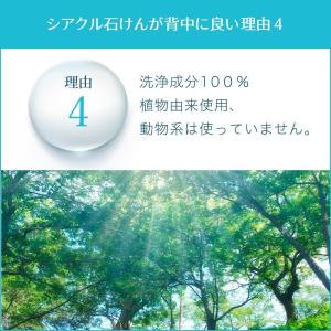 背中ニキビ ボディソープ 背中ニキビ 石鹸 背...の詳細画像5