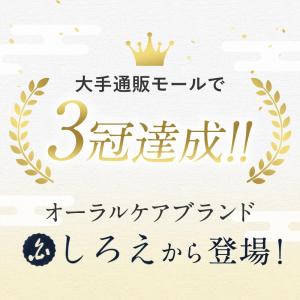 口腔洗浄器 ジェットウォッシャー 口腔洗浄器 ...の詳細画像2