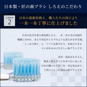 歯ブラシ 高級 ＼2本入り/ 日本製 しろえ ...の詳細画像5