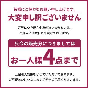 シズカウィル 覗き見防止 アンチグレア iPh...の詳細画像3
