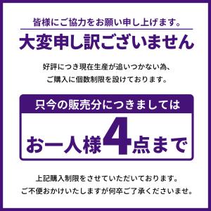 iPhone フィルム 覗見防止 iPhone...の詳細画像2
