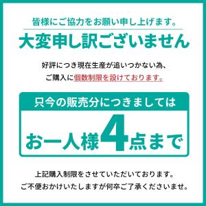 Google Pixel10a ケース Pix...の詳細画像2