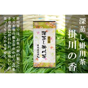 掛川茶 深蒸し茶 掛川の香 100g 一番茶100% 静岡茶