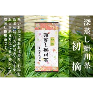 深蒸し掛川茶 初摘100g 一番茶100% お茶 静岡茶 煎茶
