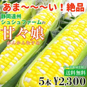 とうもろこし　甘々娘　かんかんむすめ／静岡県産／5本入り／朝採り農家直送★順次発送中！