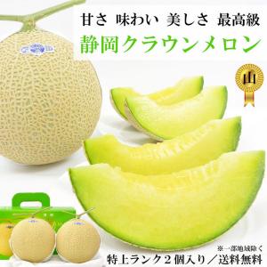 メロン 静岡クラウンメロン 上ランク 6個入 産地直送 送料無料