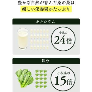 桑の葉茶 粉末 パウダー 国産 桑の葉 青汁 ...の詳細画像5